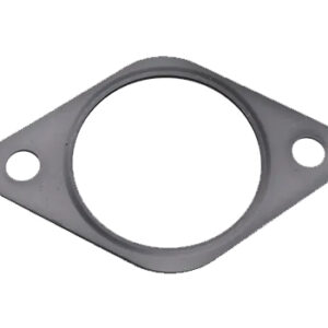 EGR Gasket