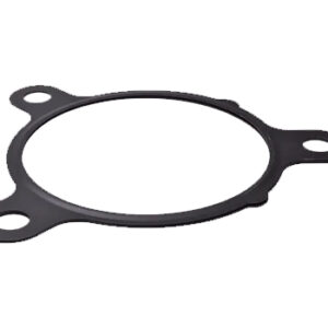 EGR Gasket